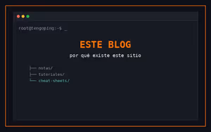 ¿Por qué este blog?